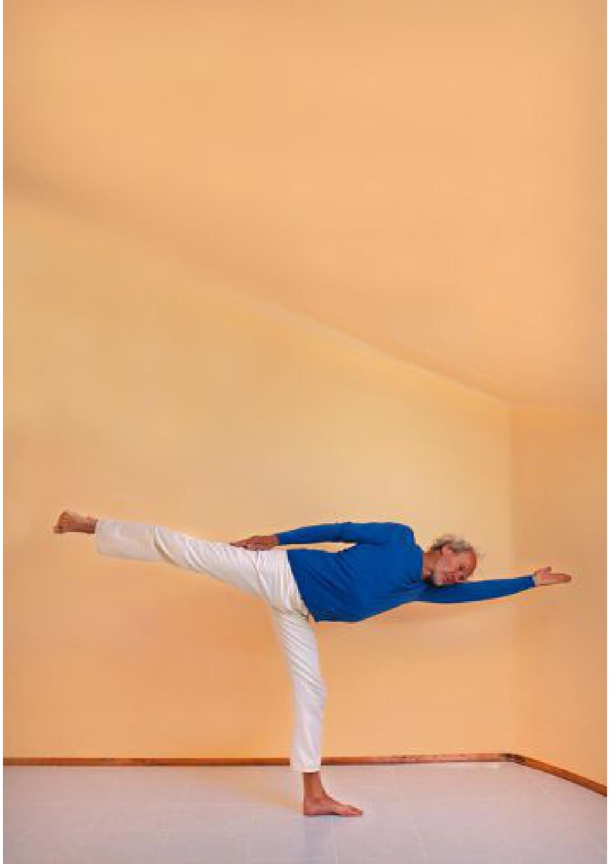 Yoga Seitliche Waage Heinz Grill 2 -
