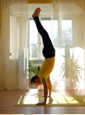 Screenshot 2026 06 07 at 19 33 09 7 Schritte zum Handstand YouTube -